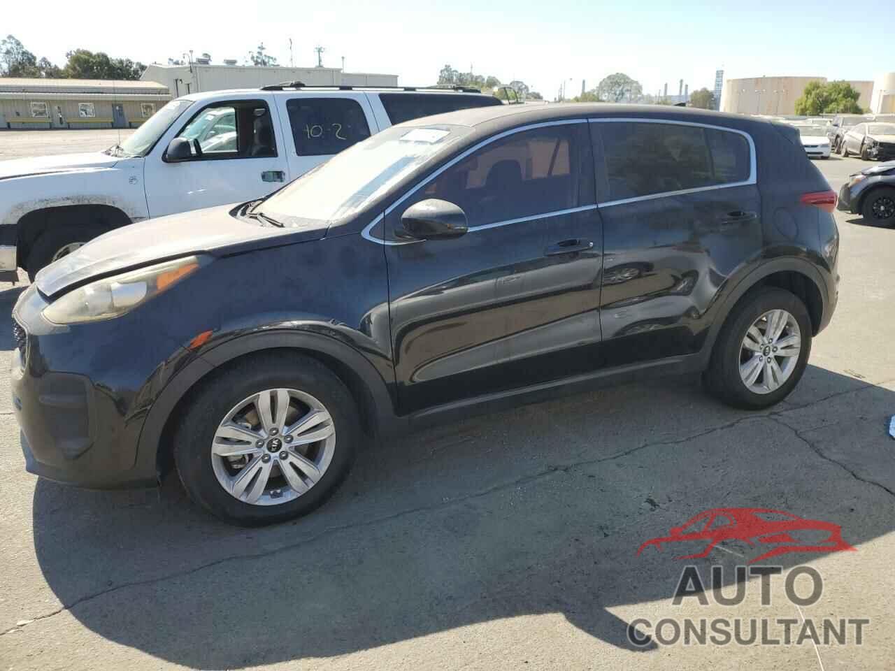 KIA SPORTAGE 2017 - KNDPM3AC6H7052667