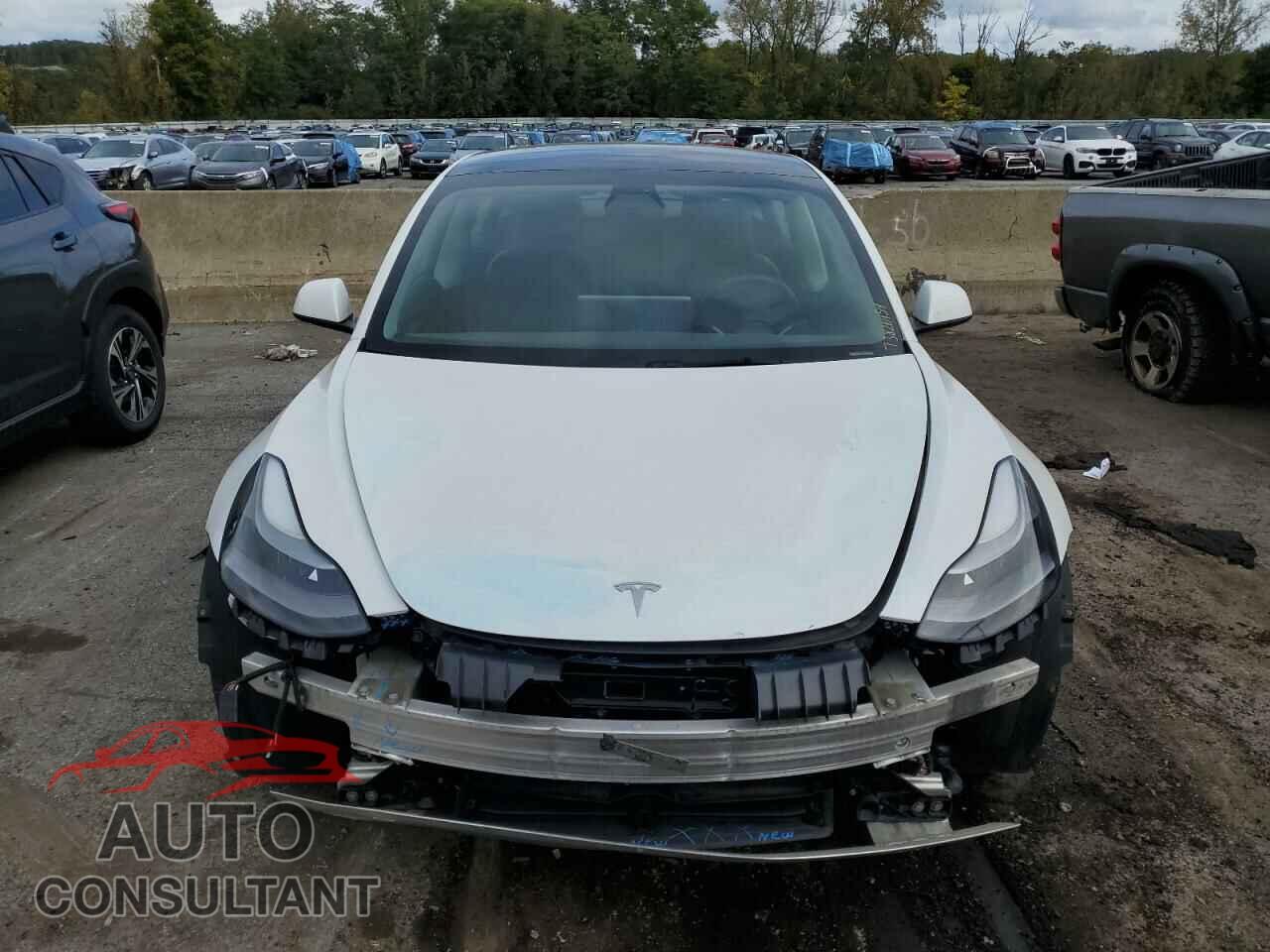 TESLA MODEL 3 2021 - 5YJ3E1EAXMF096166
