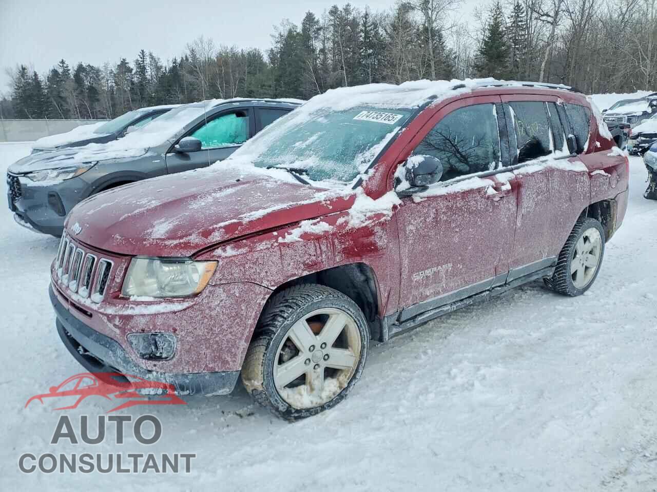 JEEP COMPASS 2011 - 1J4NF5FB6BD201398