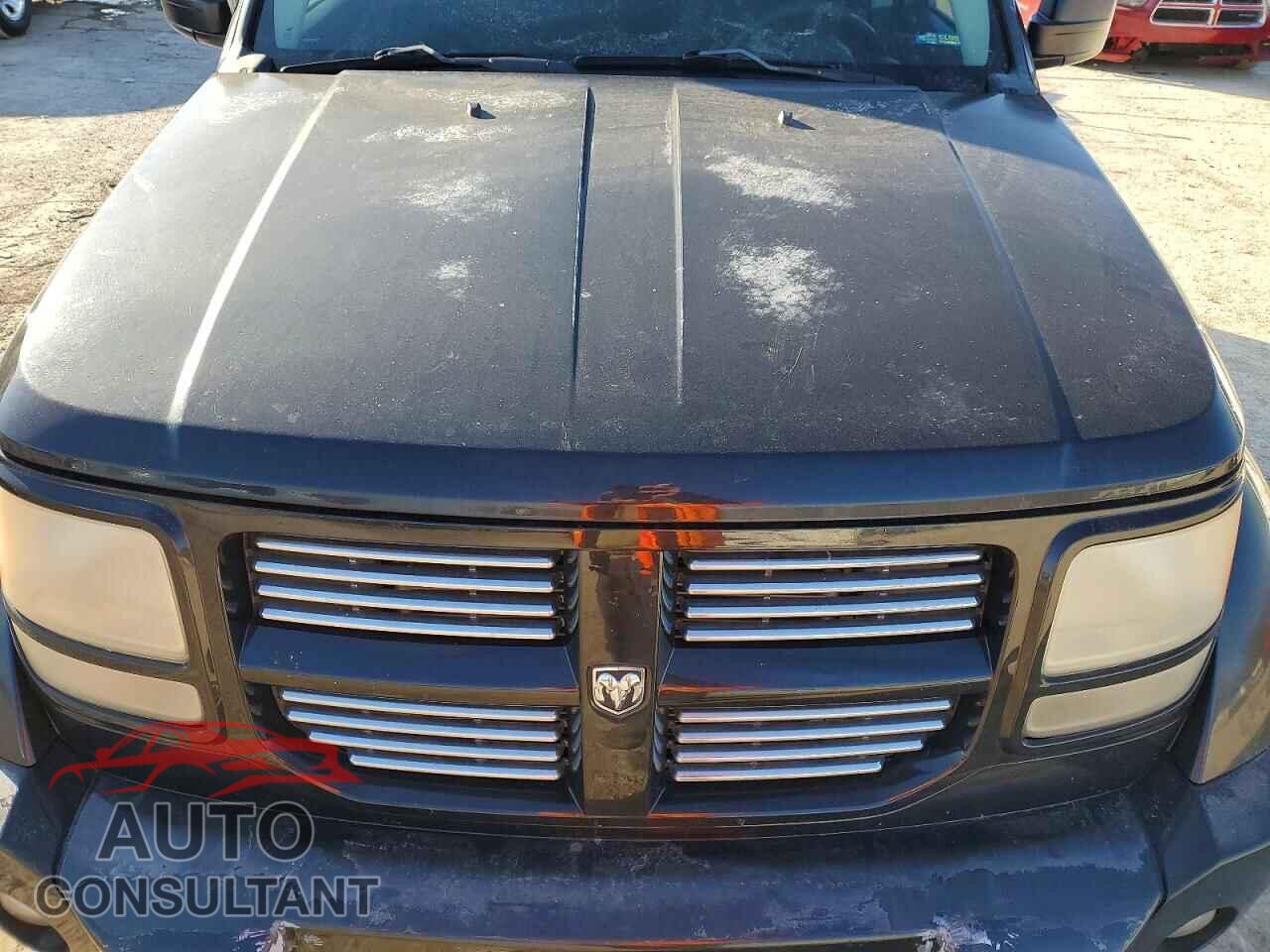 DODGE NITRO 2011 - 1D4PT4GK5BW522517