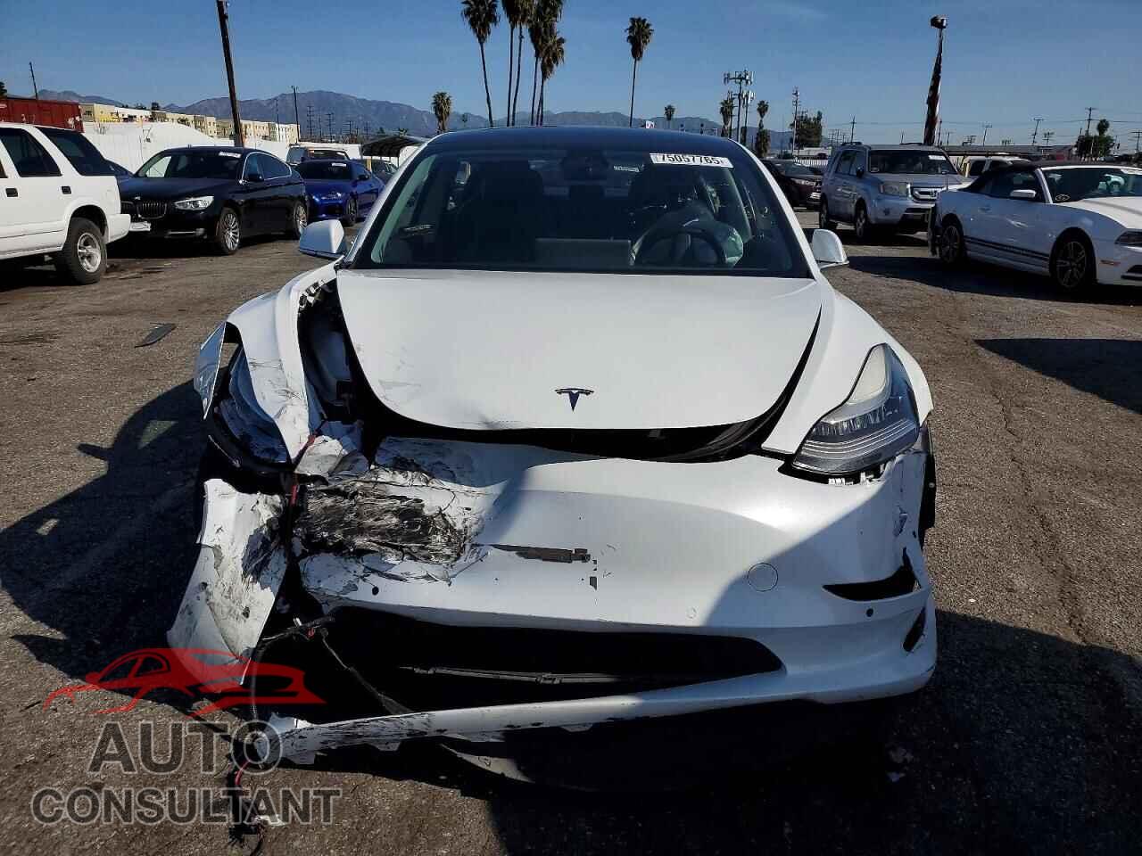 TESLA MODEL 3 2018 - 5YJ3E1EA2JF071869