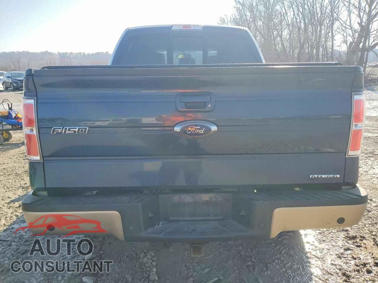 FORD F150 2014 - 1FTFW1EF0EKD36612