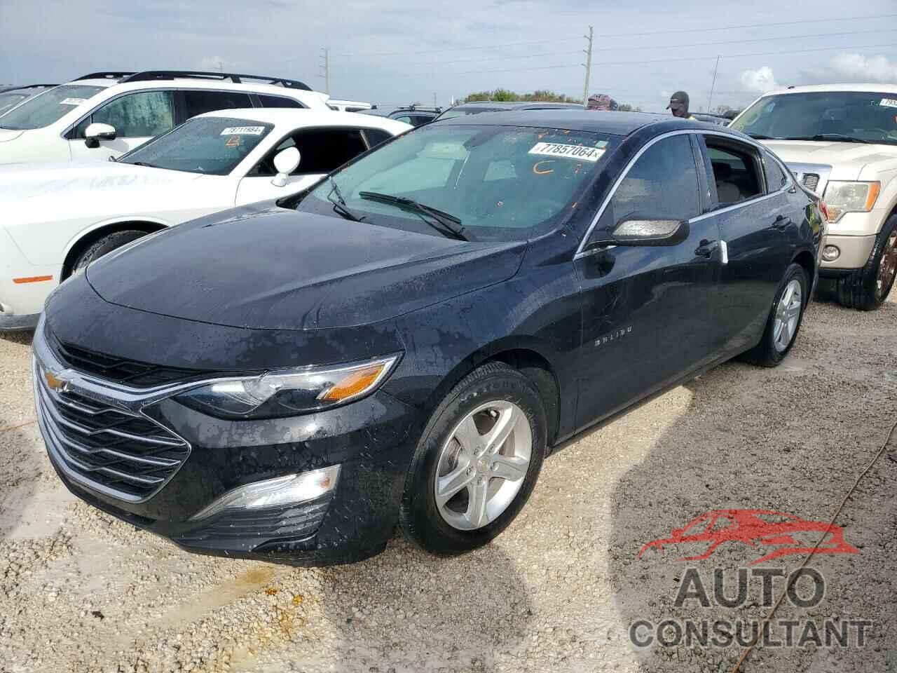 CHEVROLET MALIBU 2019 - 1G1ZB5ST3KF142907