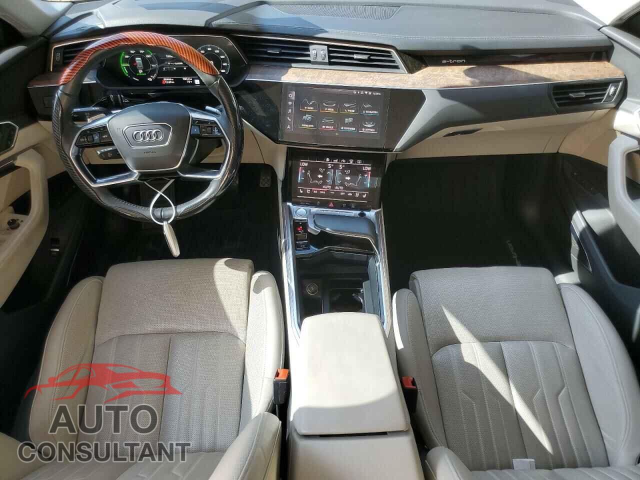 AUDI E-TRON 2019 - WA1VAAGE1KB009575