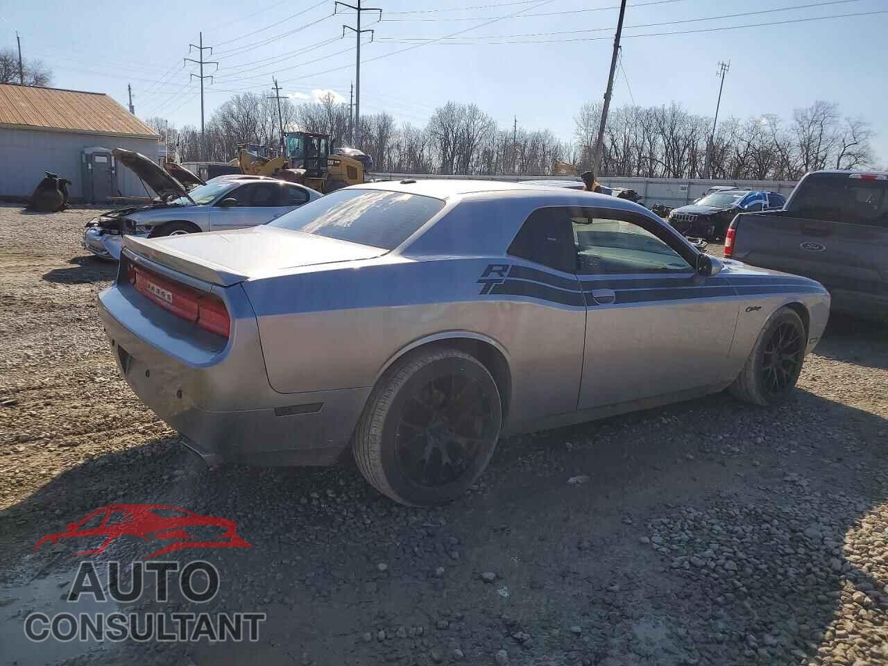 DODGE CHALLENGER 2013 - 2C3CDYBT5DH729317