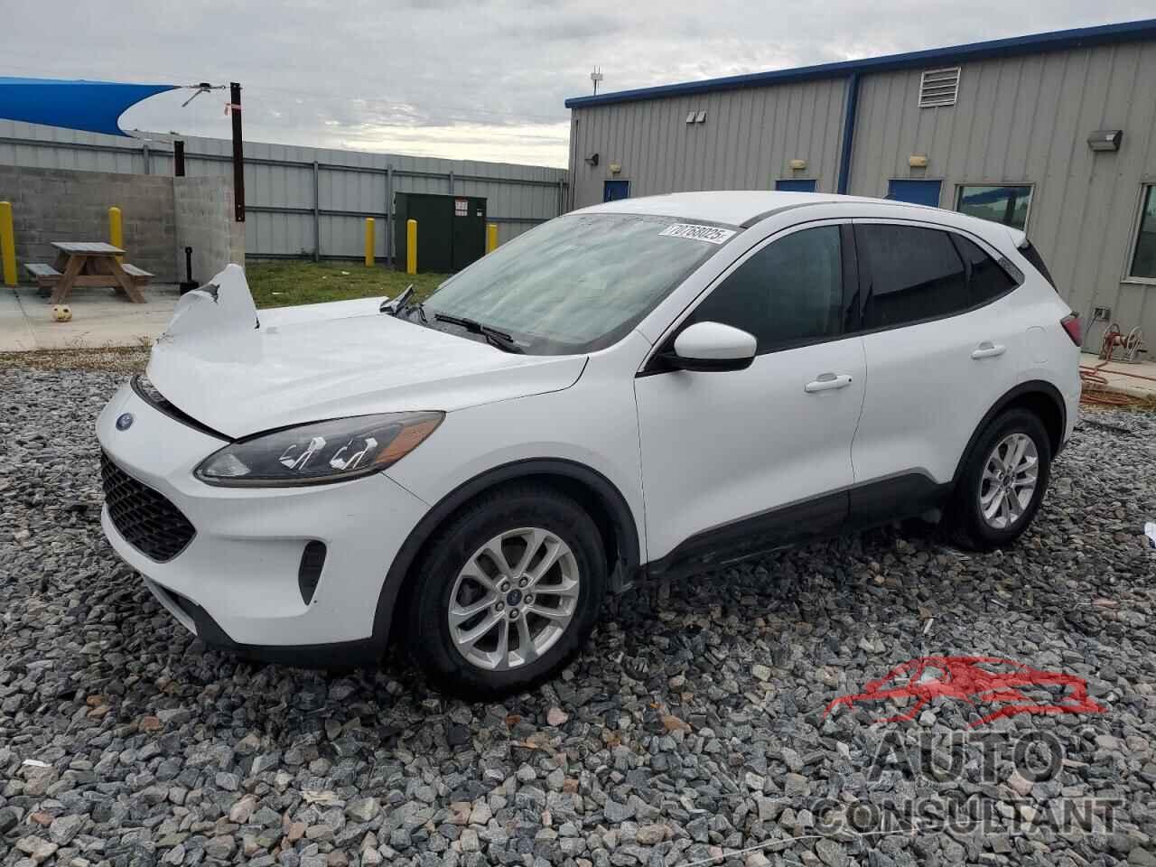 FORD ESCAPE 2020 - 1FMCU0G6XLUB18819