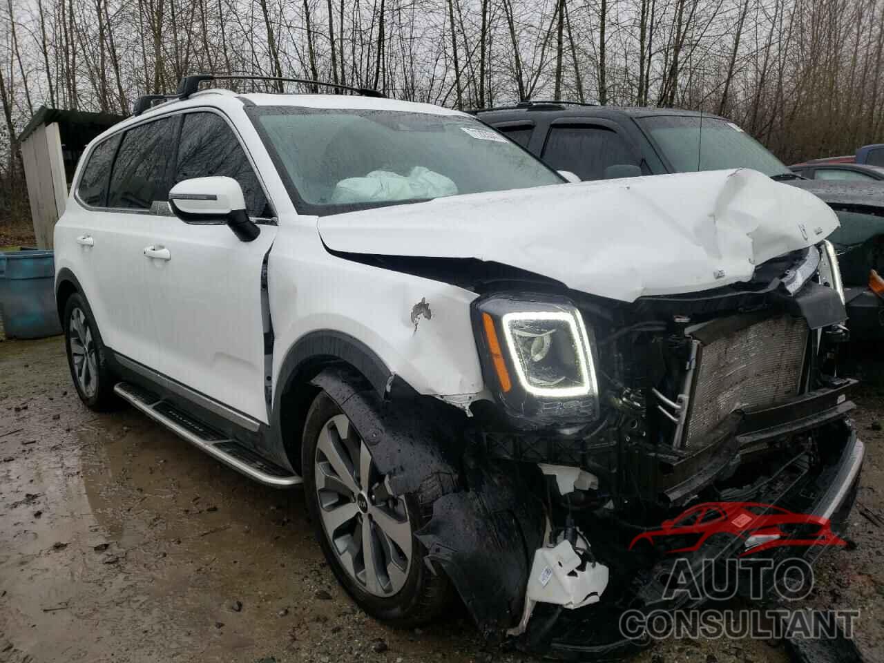 KIA TELLURIDE 2020 - 5XYP3DHC3LG067086