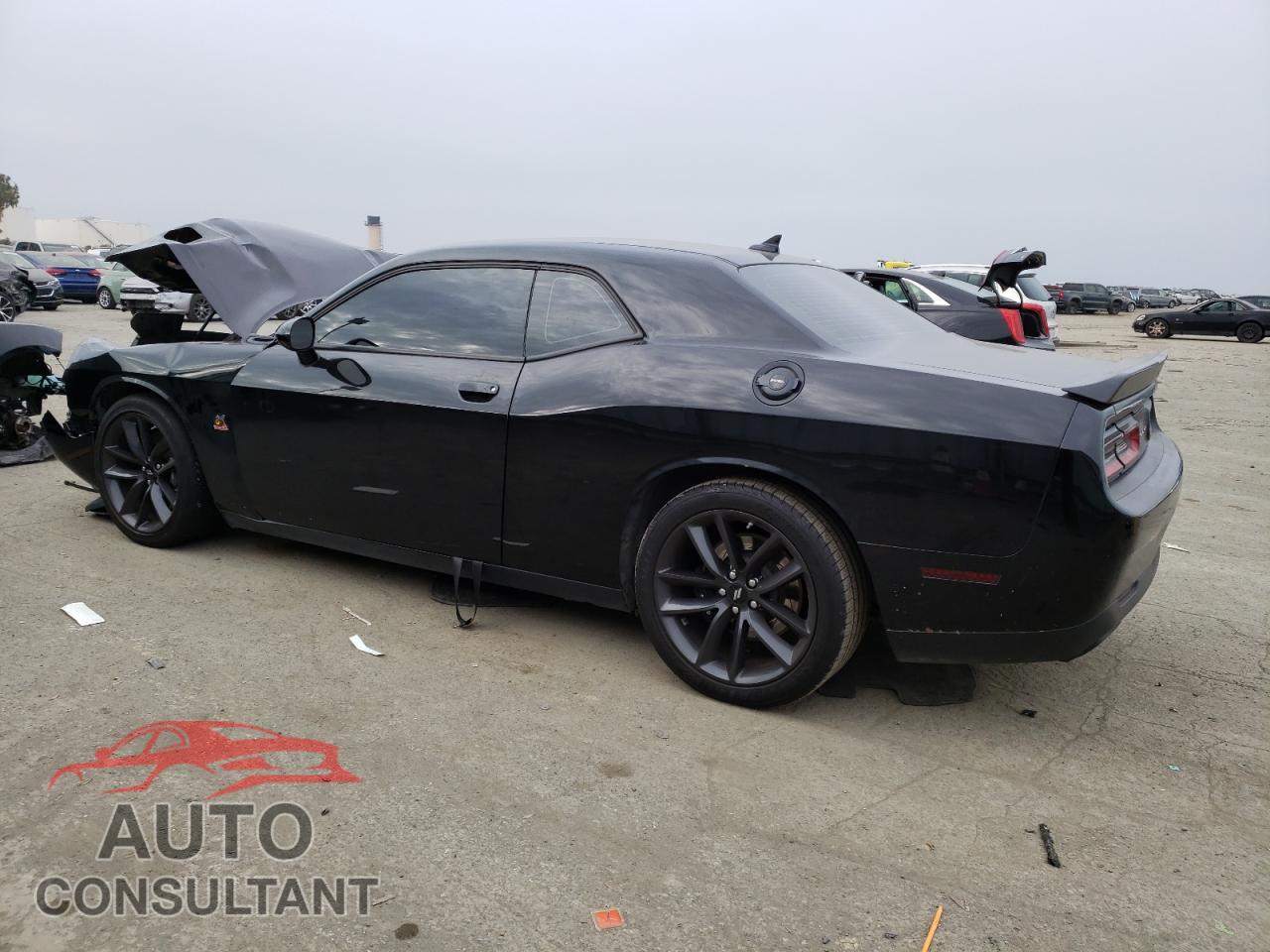 DODGE CHALLENGER 2019 - 2C3CDZFJ9KH740977