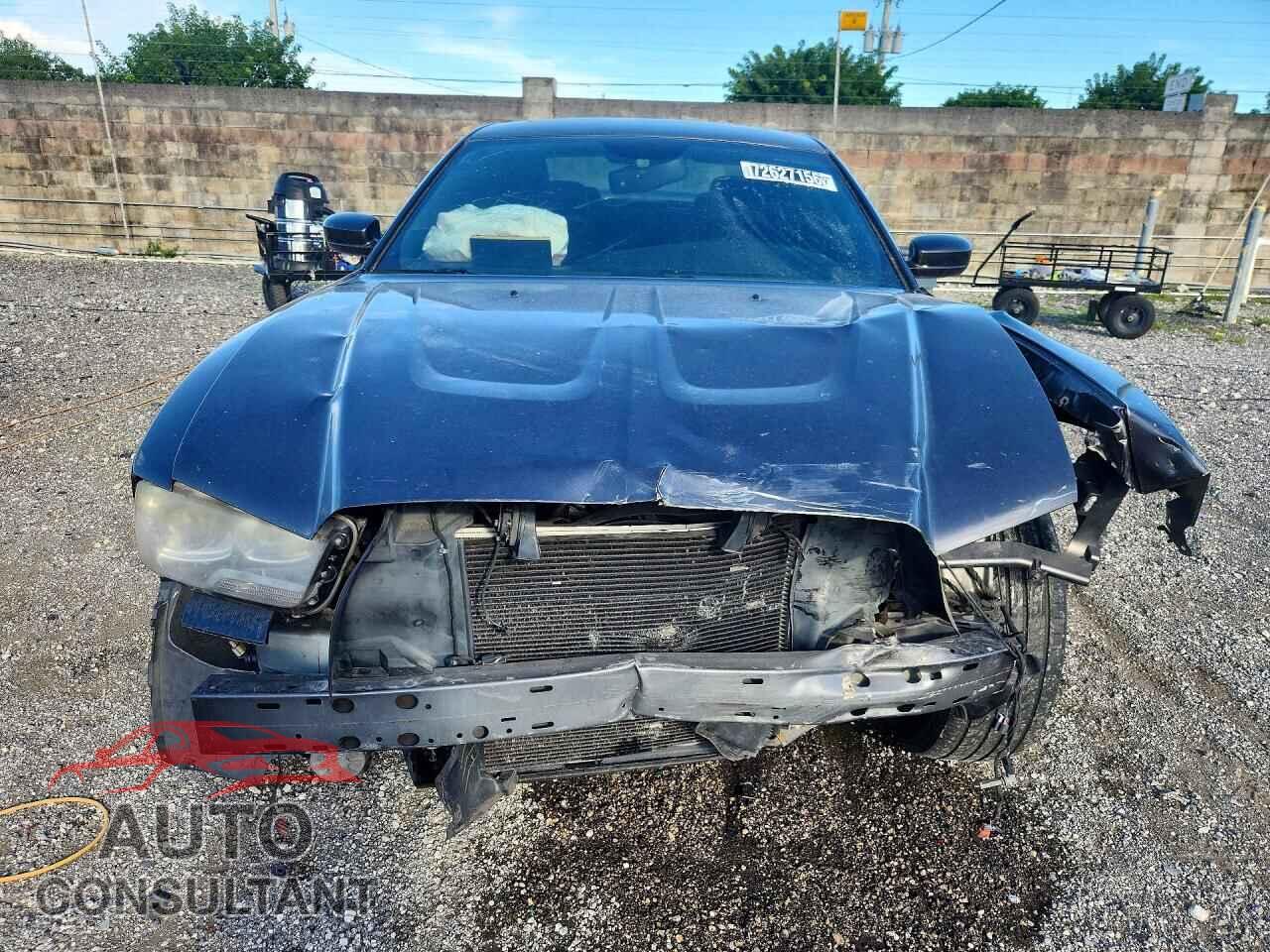DODGE CHARGER 2014 - 2C3CDXDT5EH320484