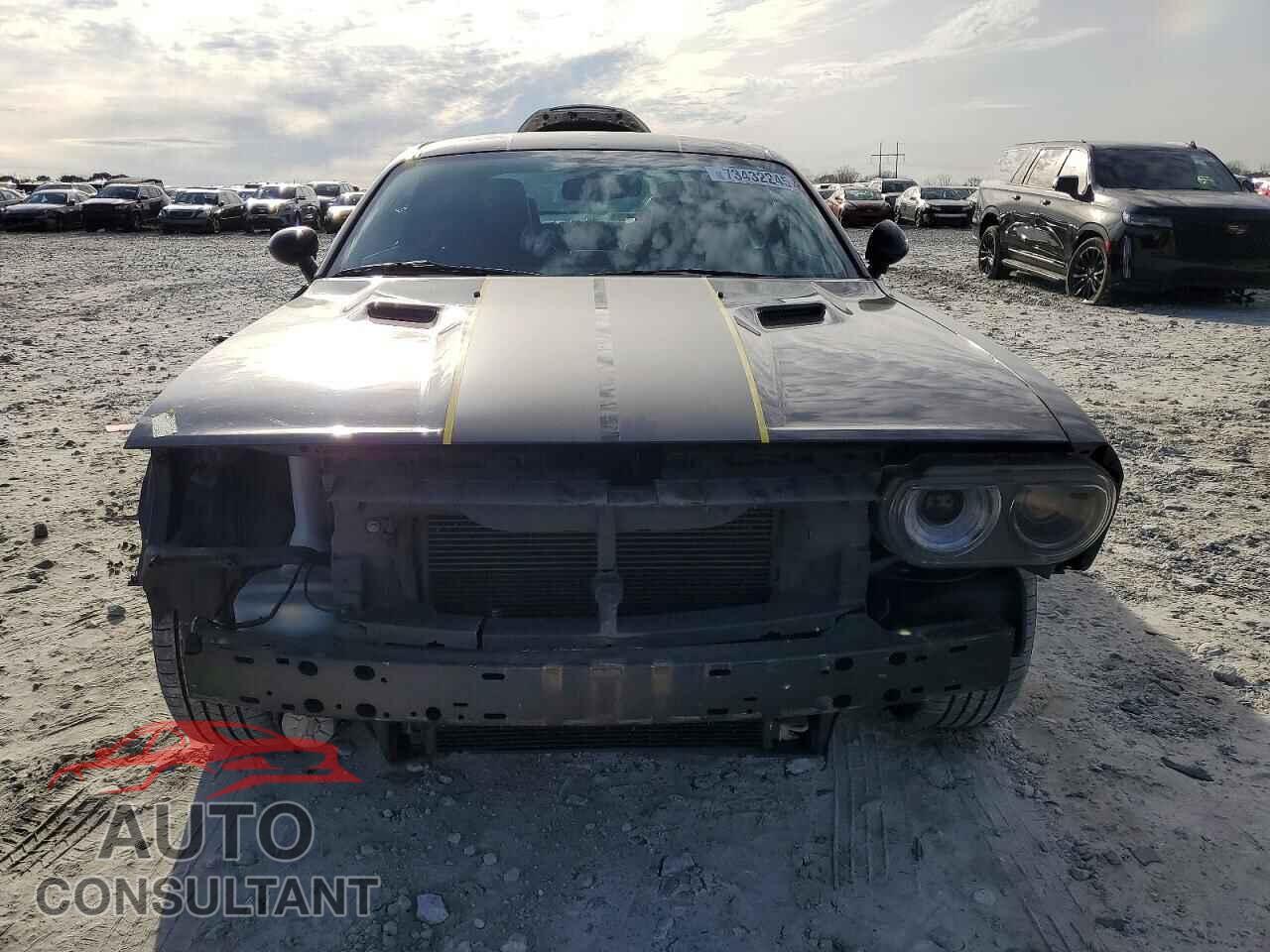 DODGE CHALLENGER 2012 - 2C3CDYAGXCH254315