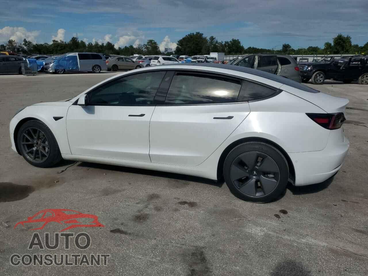 TESLA MODEL 3 2021 - 5YJ3E1EB5MF855170