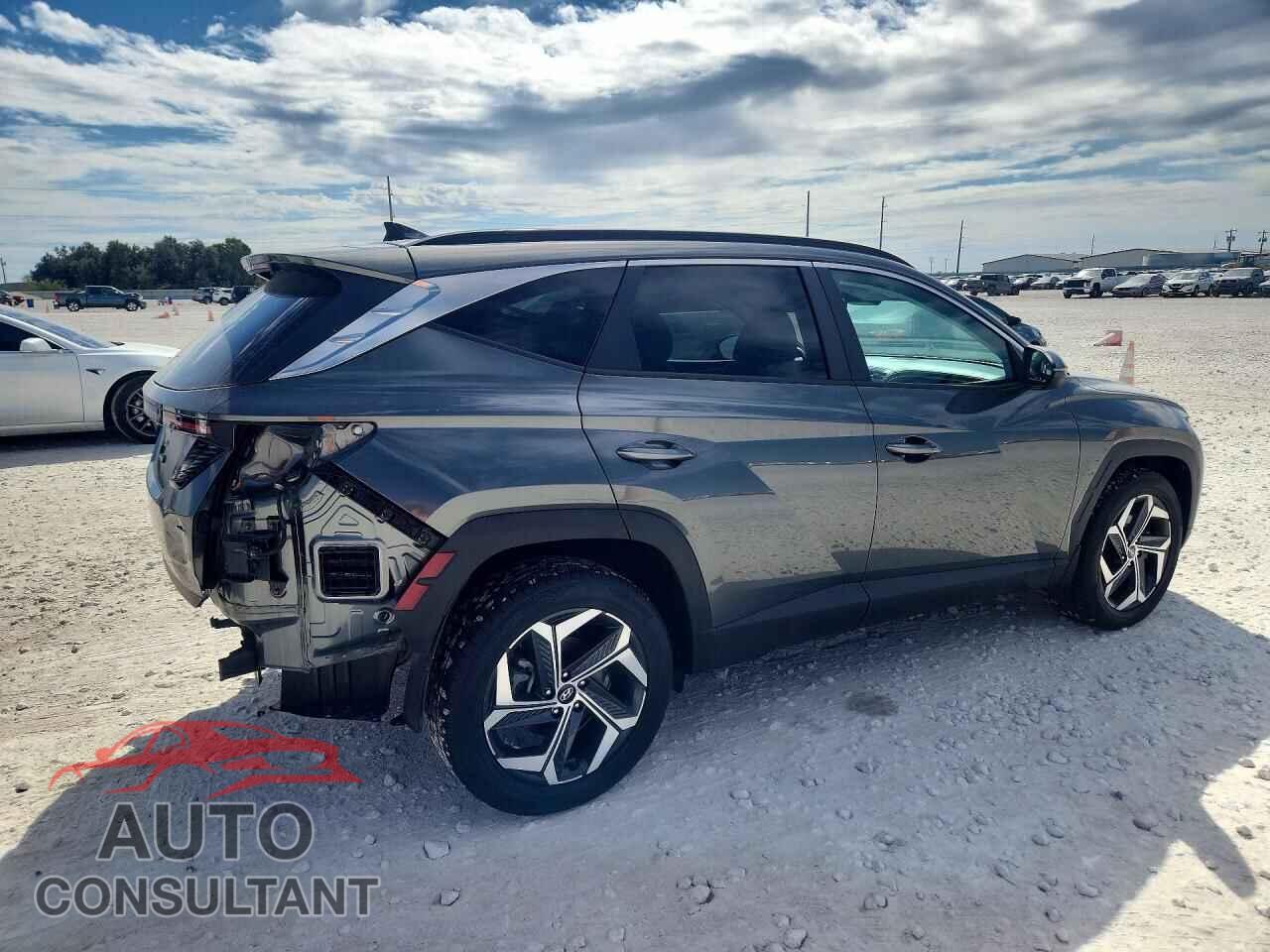 HYUNDAI TUCSON 2023 - 5NMJFCAE5PH201613