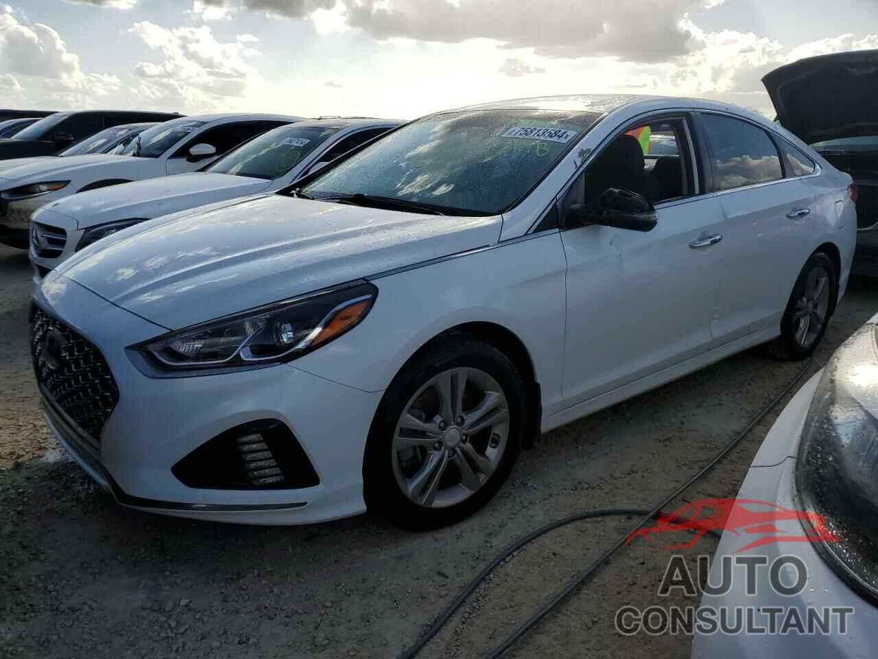HYUNDAI SONATA 2019 - 5NPE34AF0KH783978