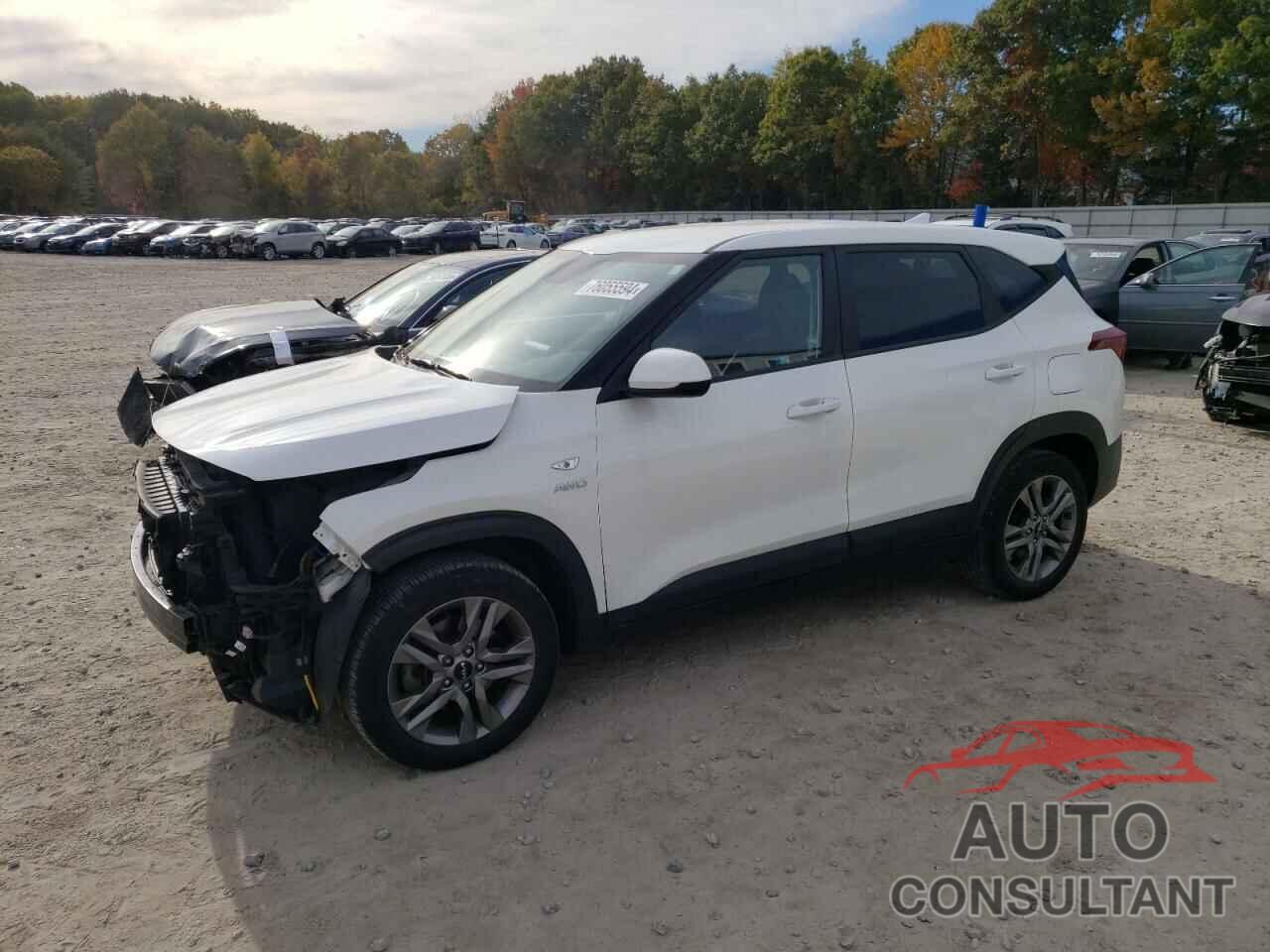 KIA SELTOS 2022 - KNDEPCAA2N7256794