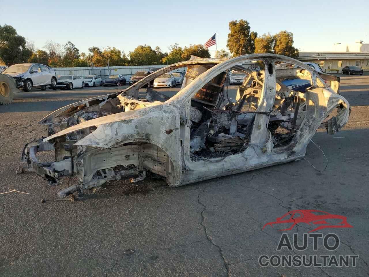 TESLA MODEL Y 2024 - 7SAYGDED4RF073634