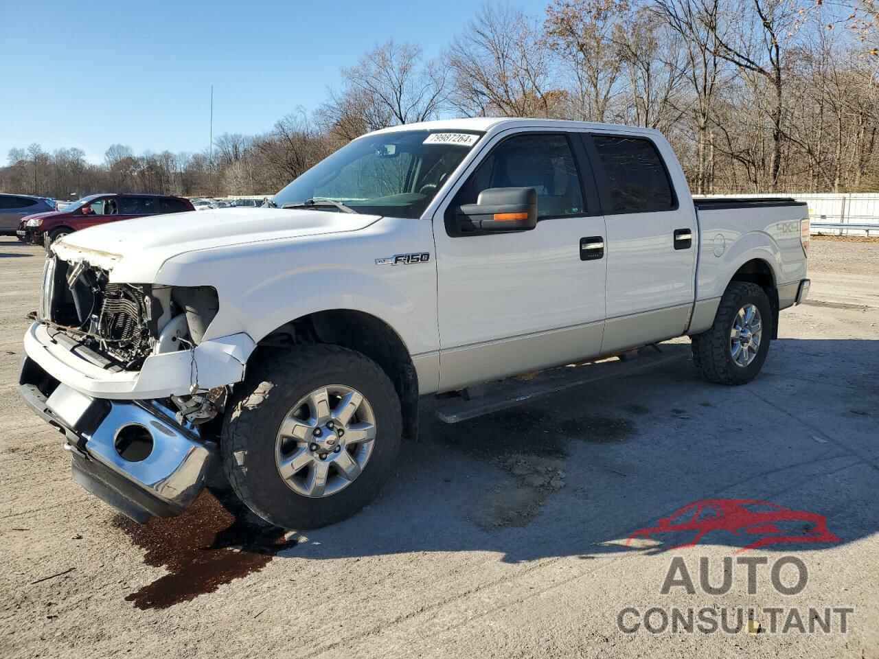 FORD F-150 2013 - 1FTFW1EF8DFA52491