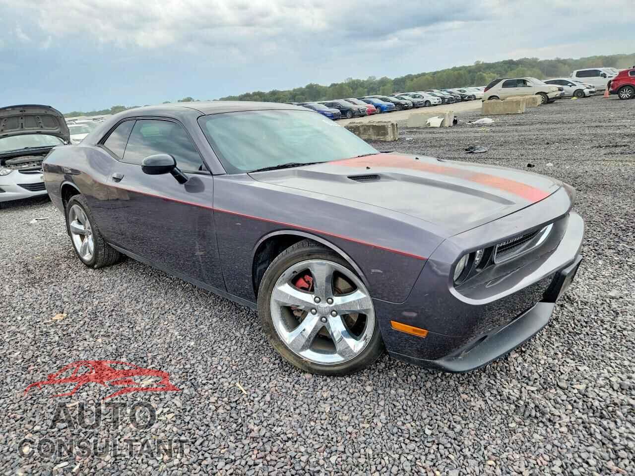 DODGE CHALLENGER 2013 - 2C3CDYAG2DH632919