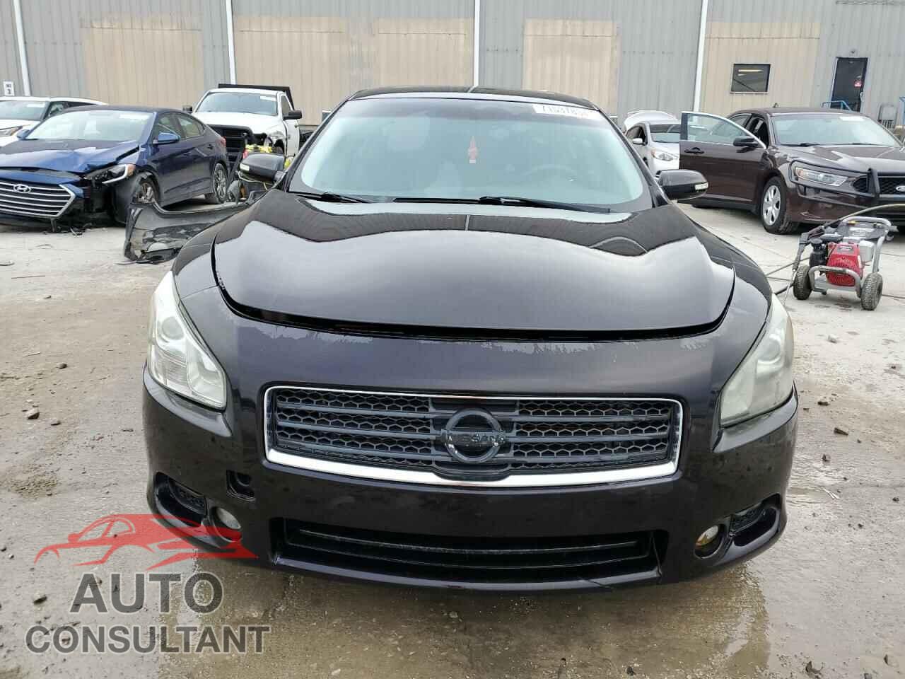 NISSAN MAXIMA 2011 - 1N4AA5AP7BC815863