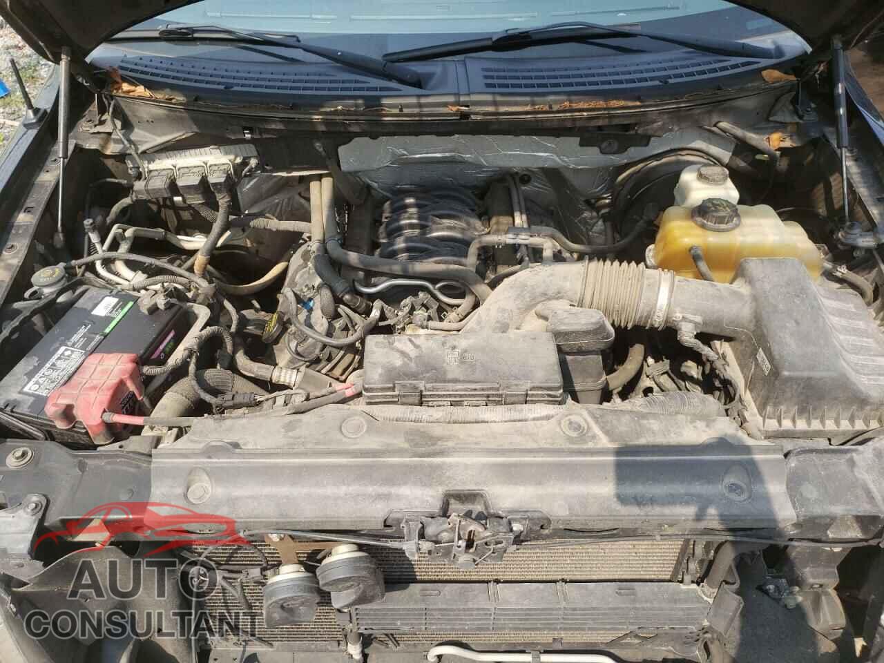 FORD F-150 2013 - 1FTFX1CF3DFD45344