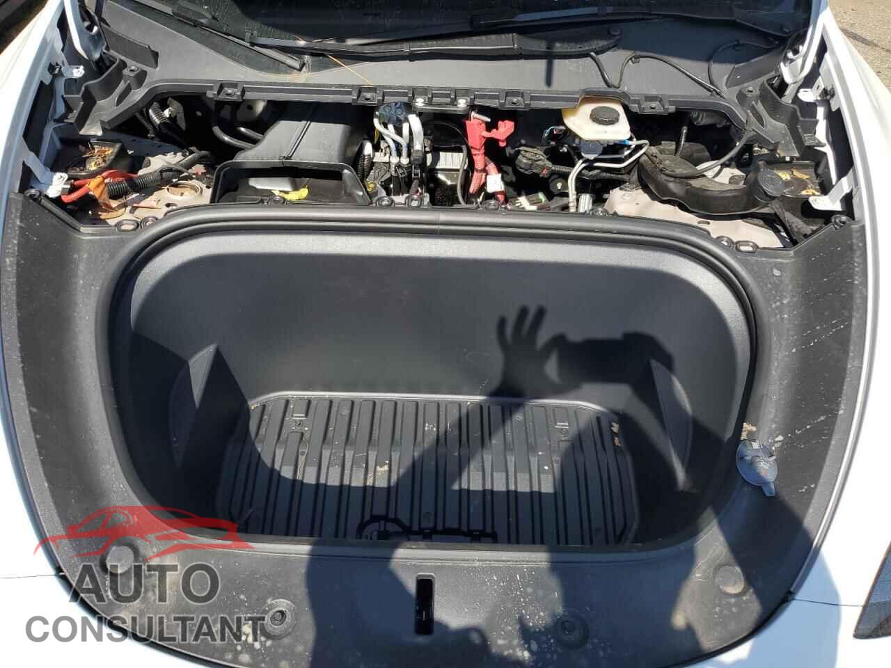 TESLA MODEL Y 2024 - 7SAYGDEE5RF185657