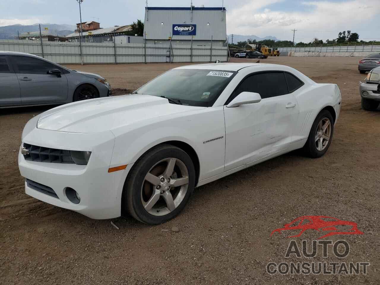 CHEVROLET CAMARO 2010 - 2G1FC1EV1A9169505