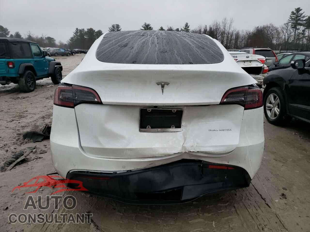 TESLA MODEL Y 2022 - 7SAYGAEE8NF524081