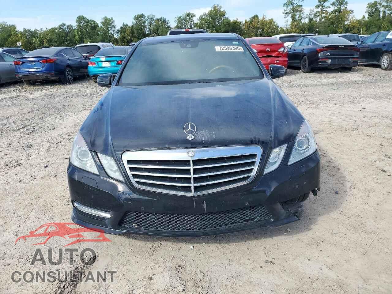MERCEDES-BENZ E-CLASS 2012 - WDDHF9BB4CA614896