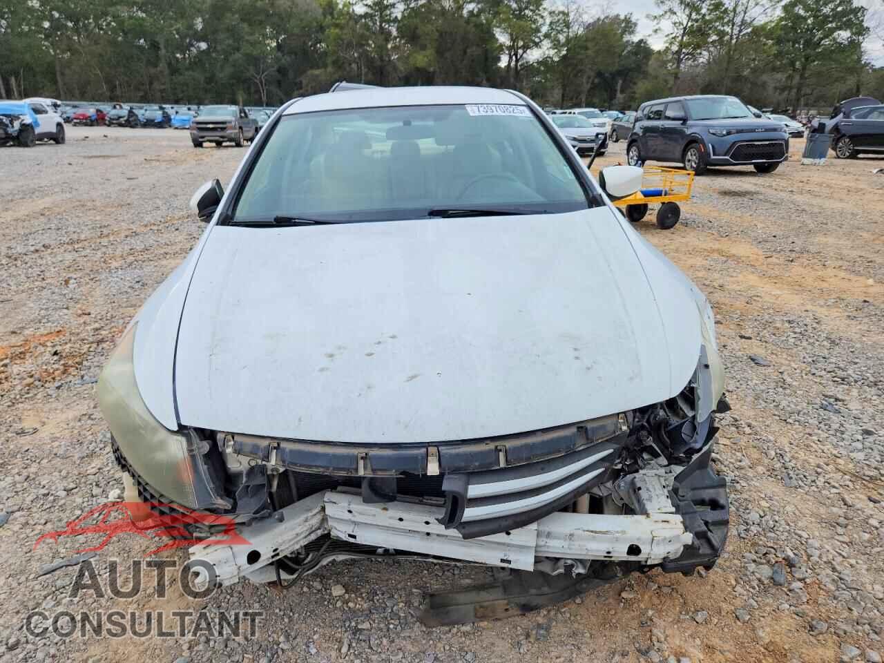 HONDA ACCORD 2011 - 1HGCP2F61BA049531