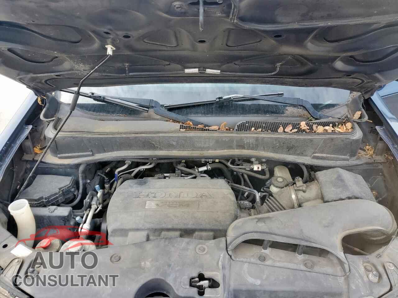 HONDA PILOT 2010 - 5FNYF3H55AB001943