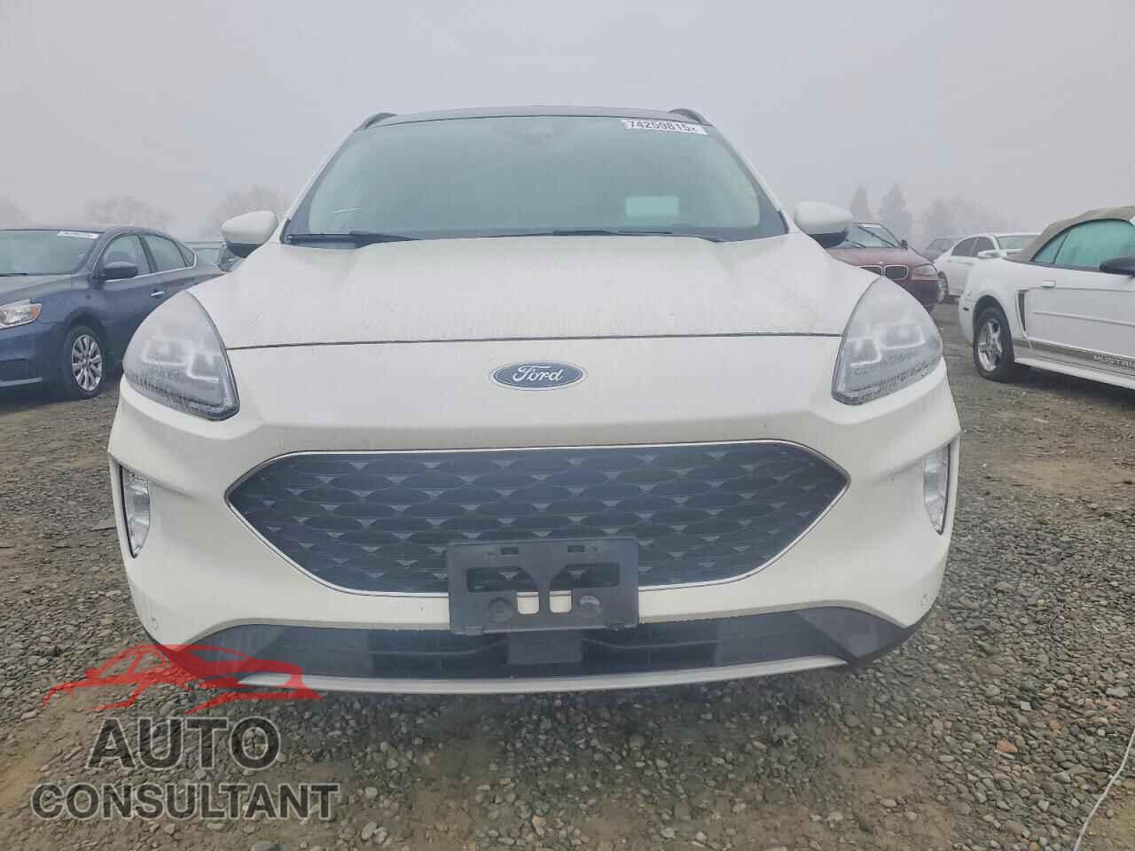 FORD ESCAPE 2020 - 1FMCU9DZ8LUA62818