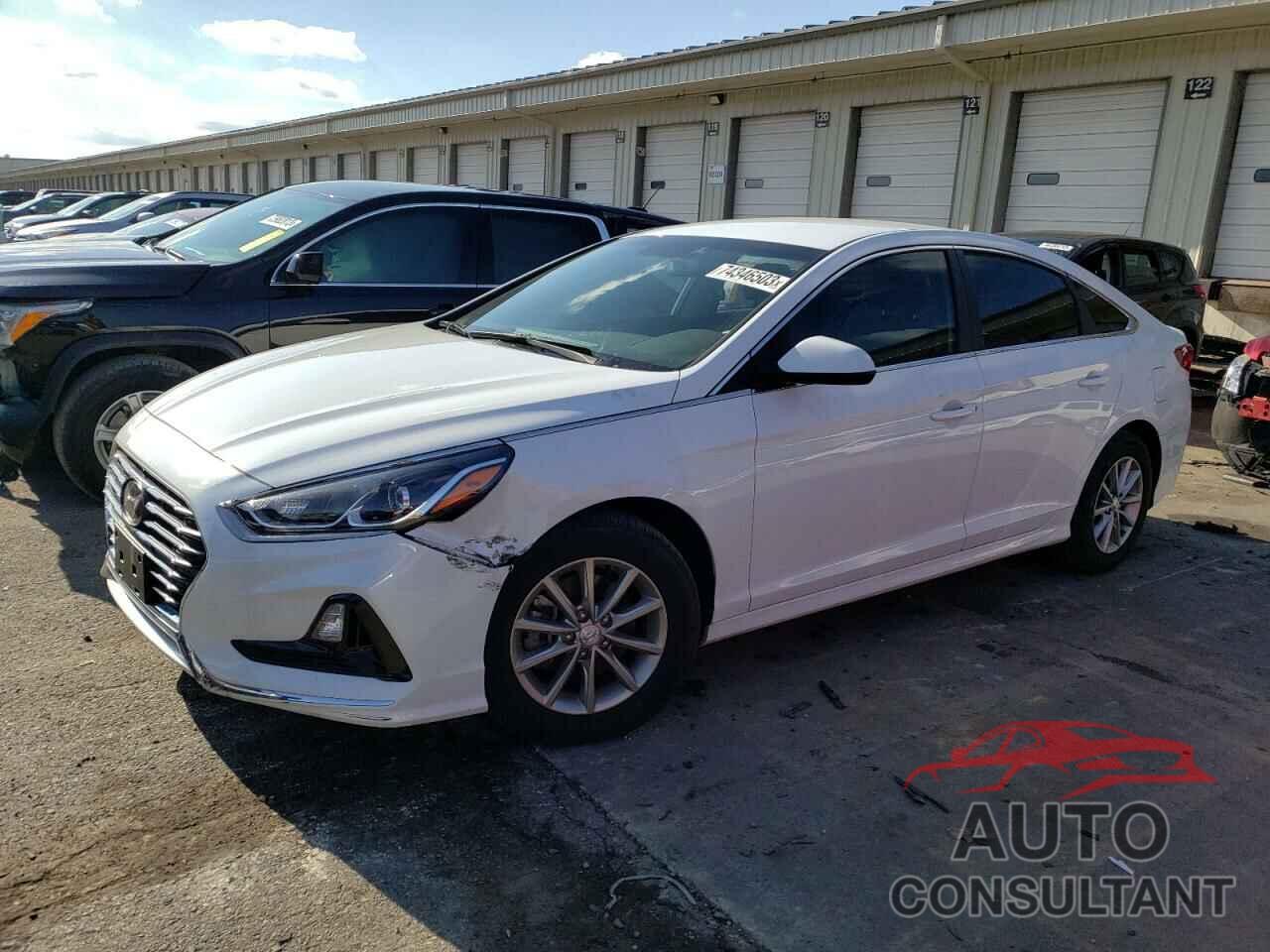 HYUNDAI SONATA 2019 - 5NPE24AF7KH754528
