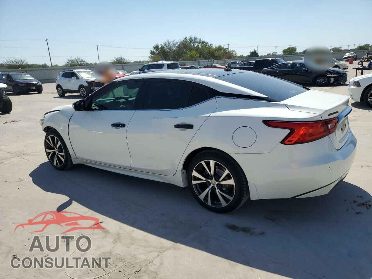 NISSAN MAXIMA 2016 - 1N4AA6AP1GC377211