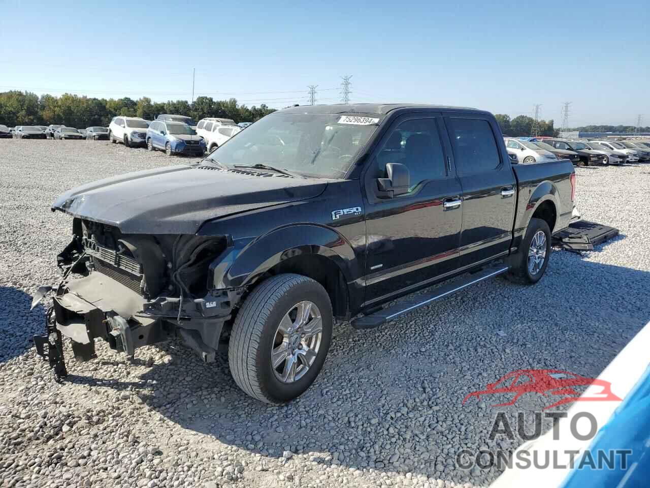 FORD F-150 2016 - 1FTEW1CP3GKF09579