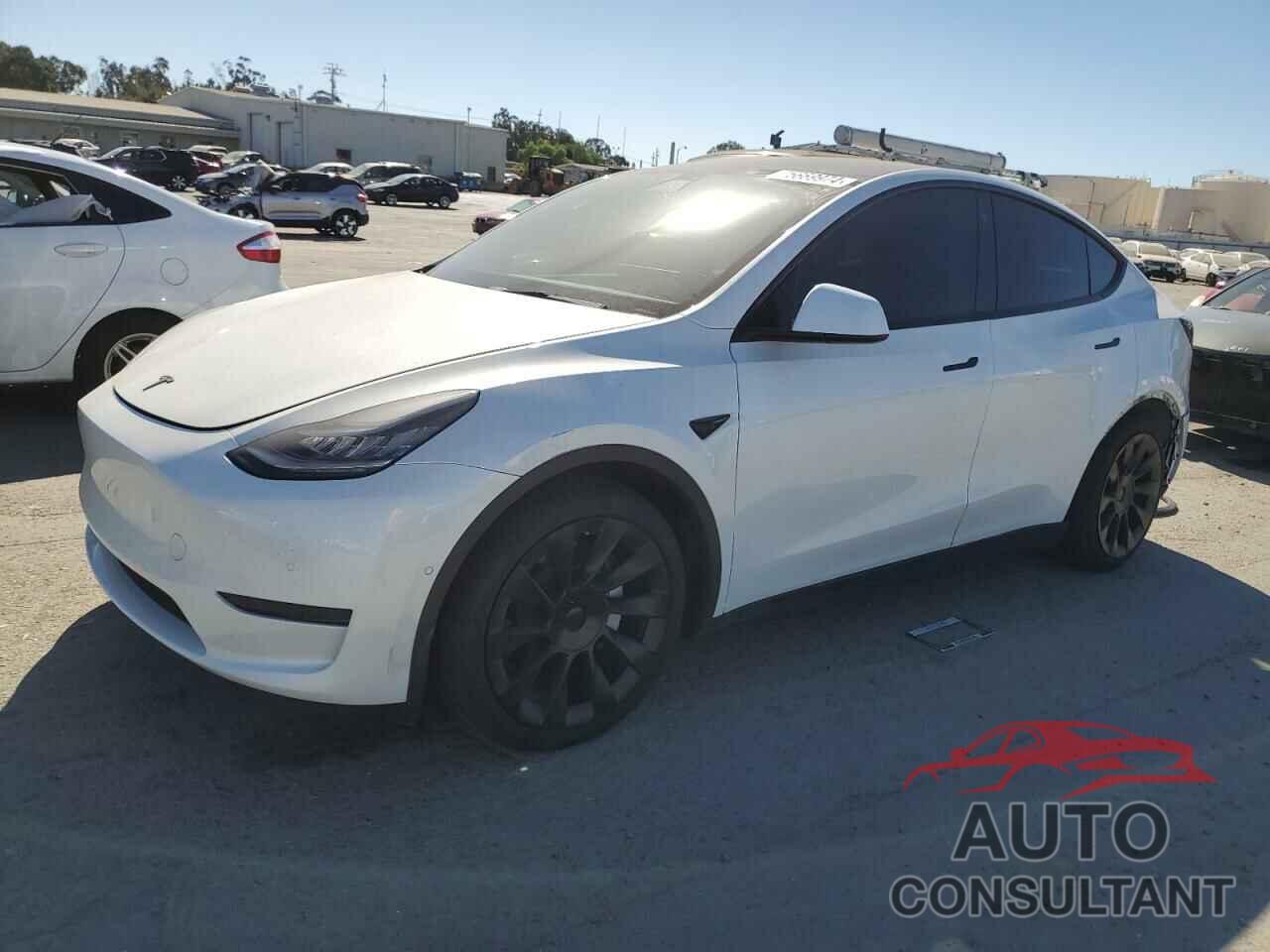 TESLA MODEL Y 2021 - 5YJYGDEE1MF097436