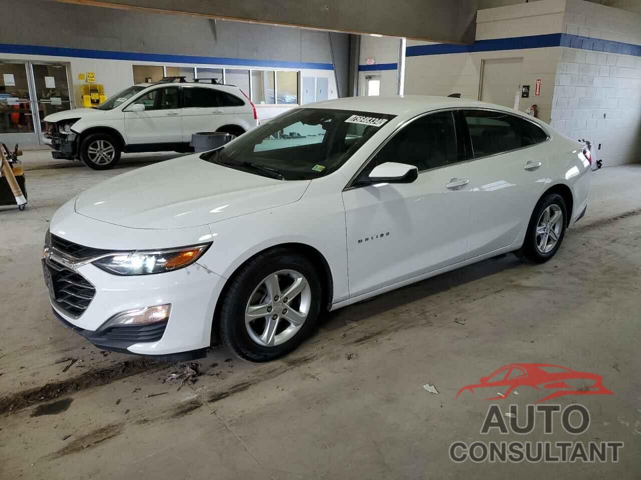 CHEVROLET MALIBU 2019 - 1G1ZC5ST2KF169142
