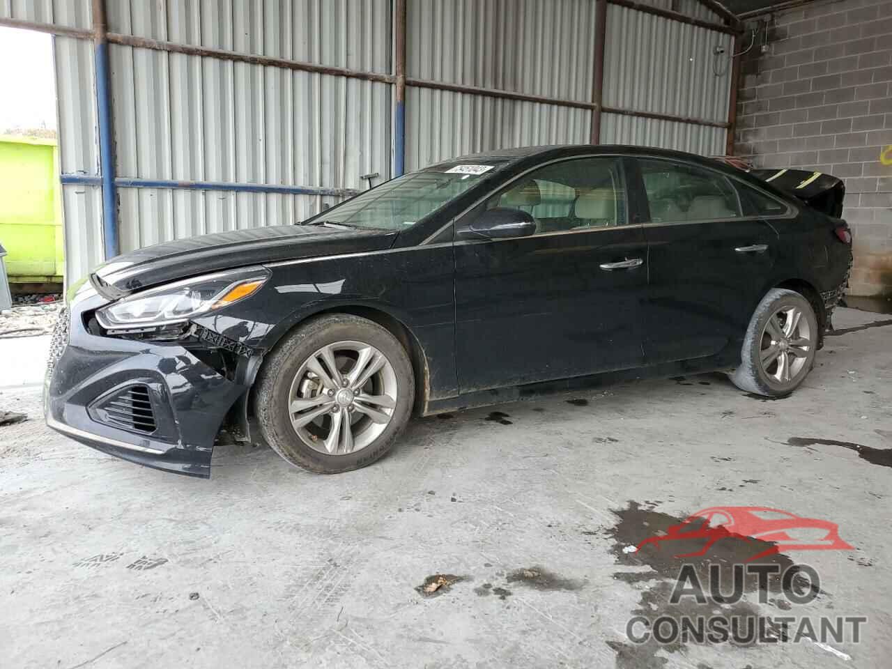 HYUNDAI SONATA 2019 - 5NPE34AF2KH774019
