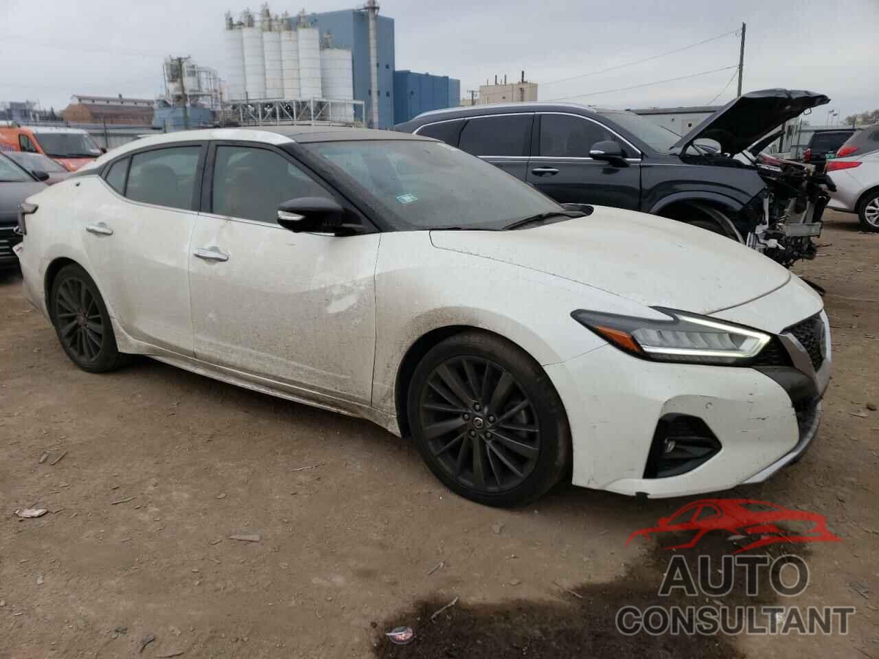 NISSAN MAXIMA 2019 - 1N4AA6AV4KC377694