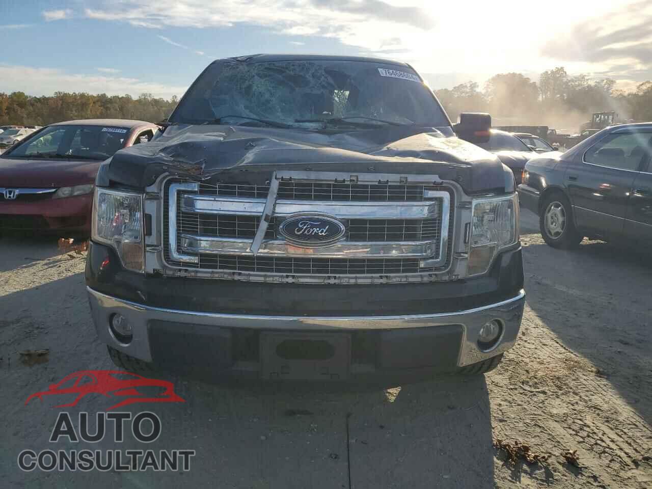 FORD F-150 2013 - 1FTFX1CT0DFD00206