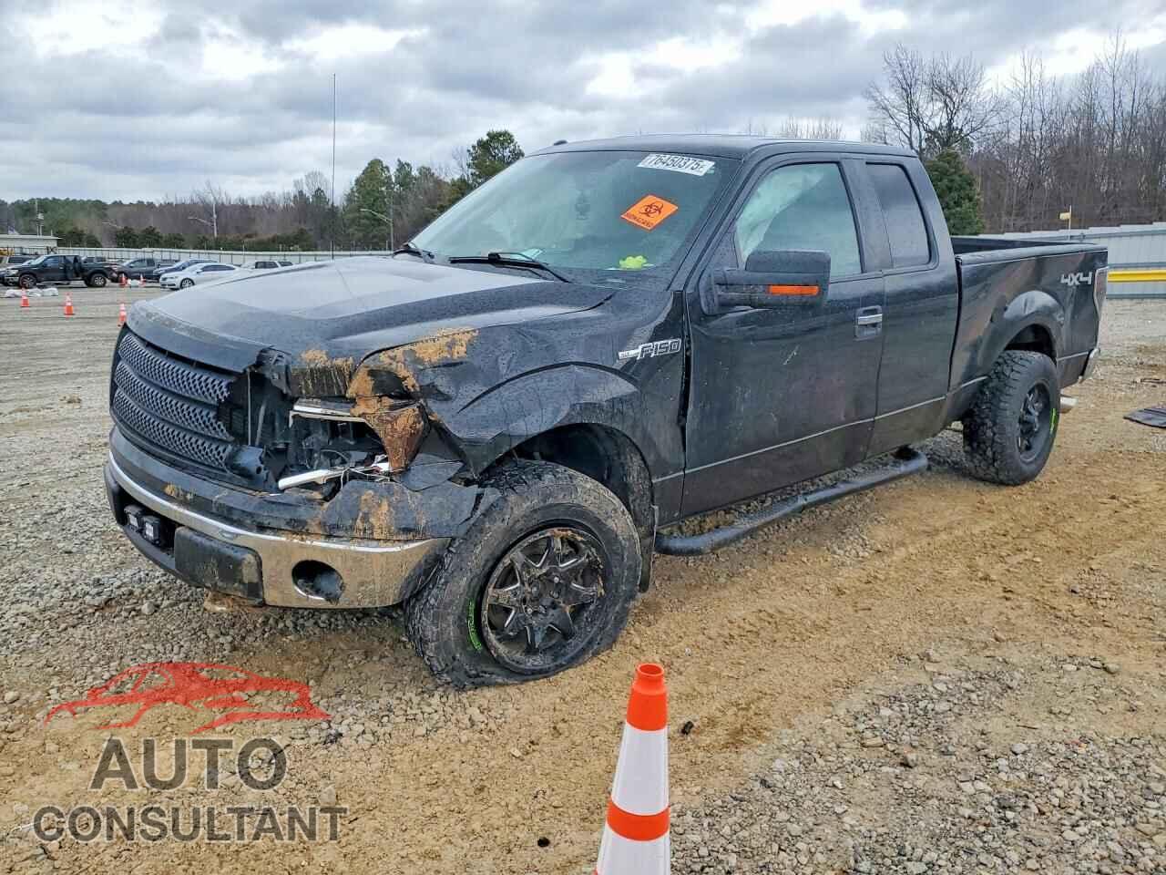 FORD F-150 2013 - 1FTFX1EF7DFD65481