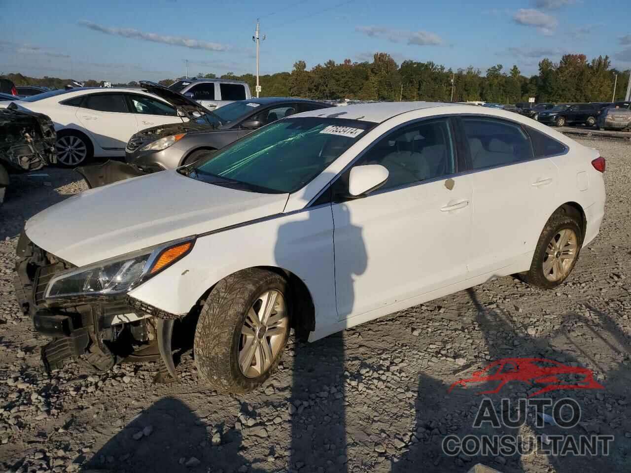 HYUNDAI SONATA 2017 - 5NPE24AF3HH578084