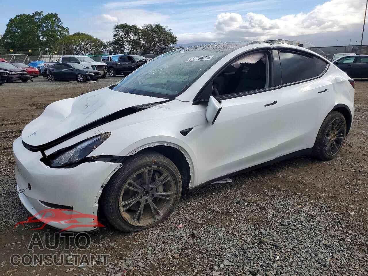 TESLA MODEL Y 2024 - 7SAYGDEE8RF153379