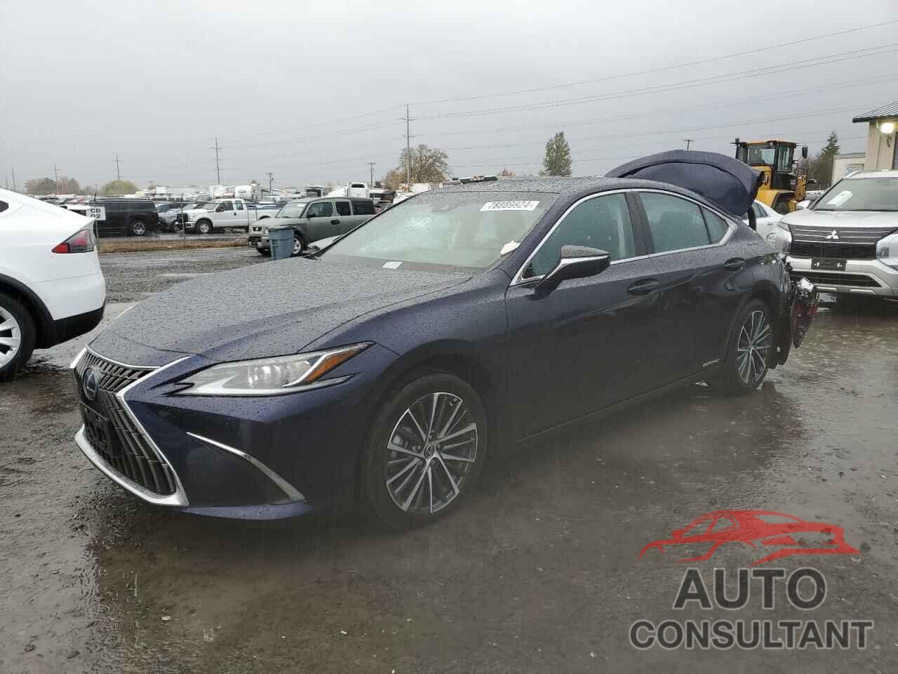 LEXUS ES300 2022 - 58ADA1C14NU018336