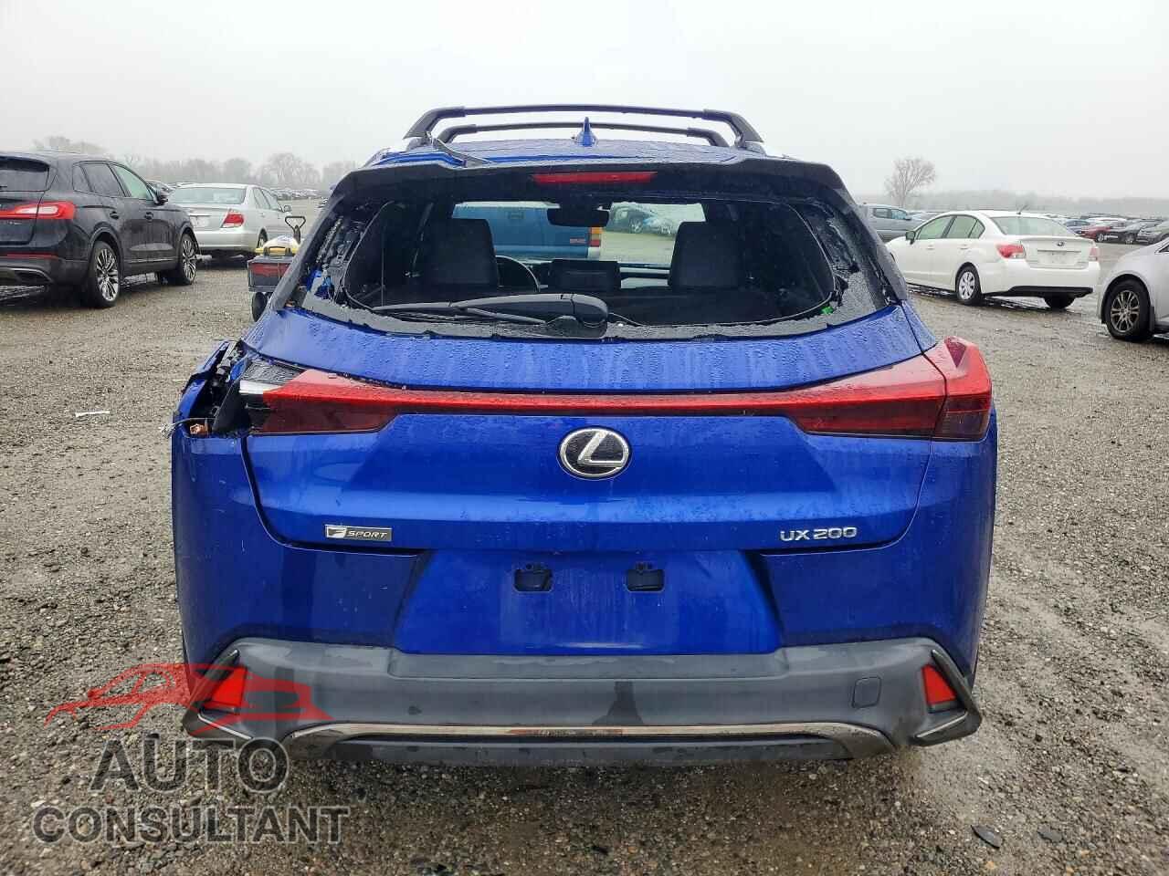 LEXUS ALL OTHER 2019 - JTHY3JBH8K2017377