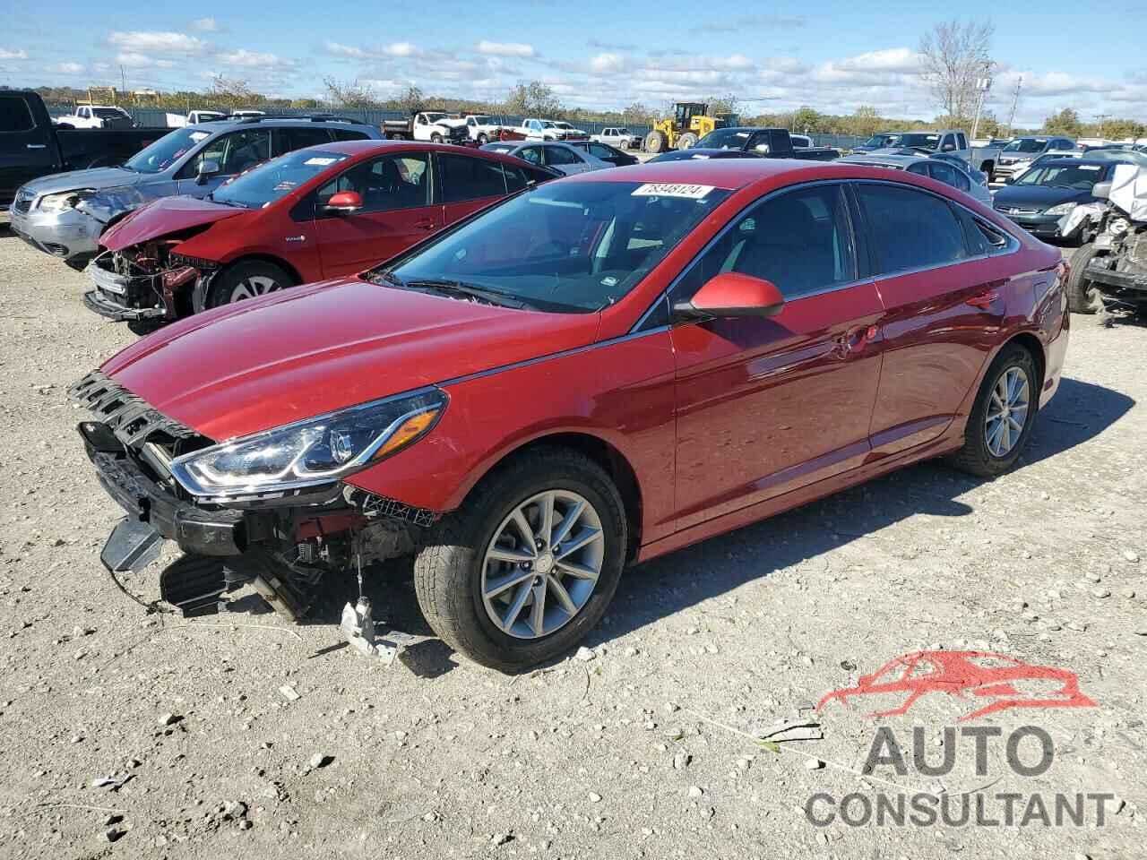 HYUNDAI SONATA 2019 - 5NPE24AF7KH799078