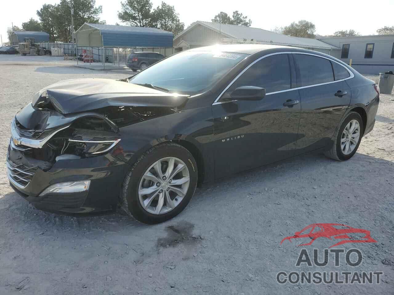 CHEVROLET MALIBU 2019 - 1G1ZD5ST0KF169718