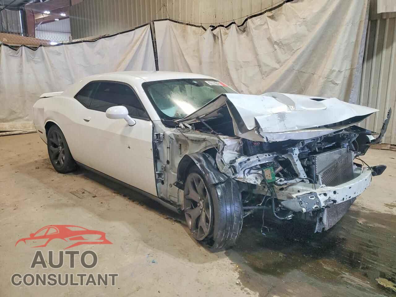 DODGE CHALLENGER 2019 - 2C3CDZBT1KH573537