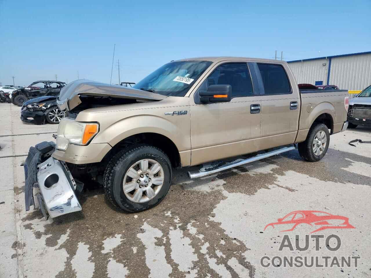 FORD F-150 2011 - 1FTEW1CM7BFD03852