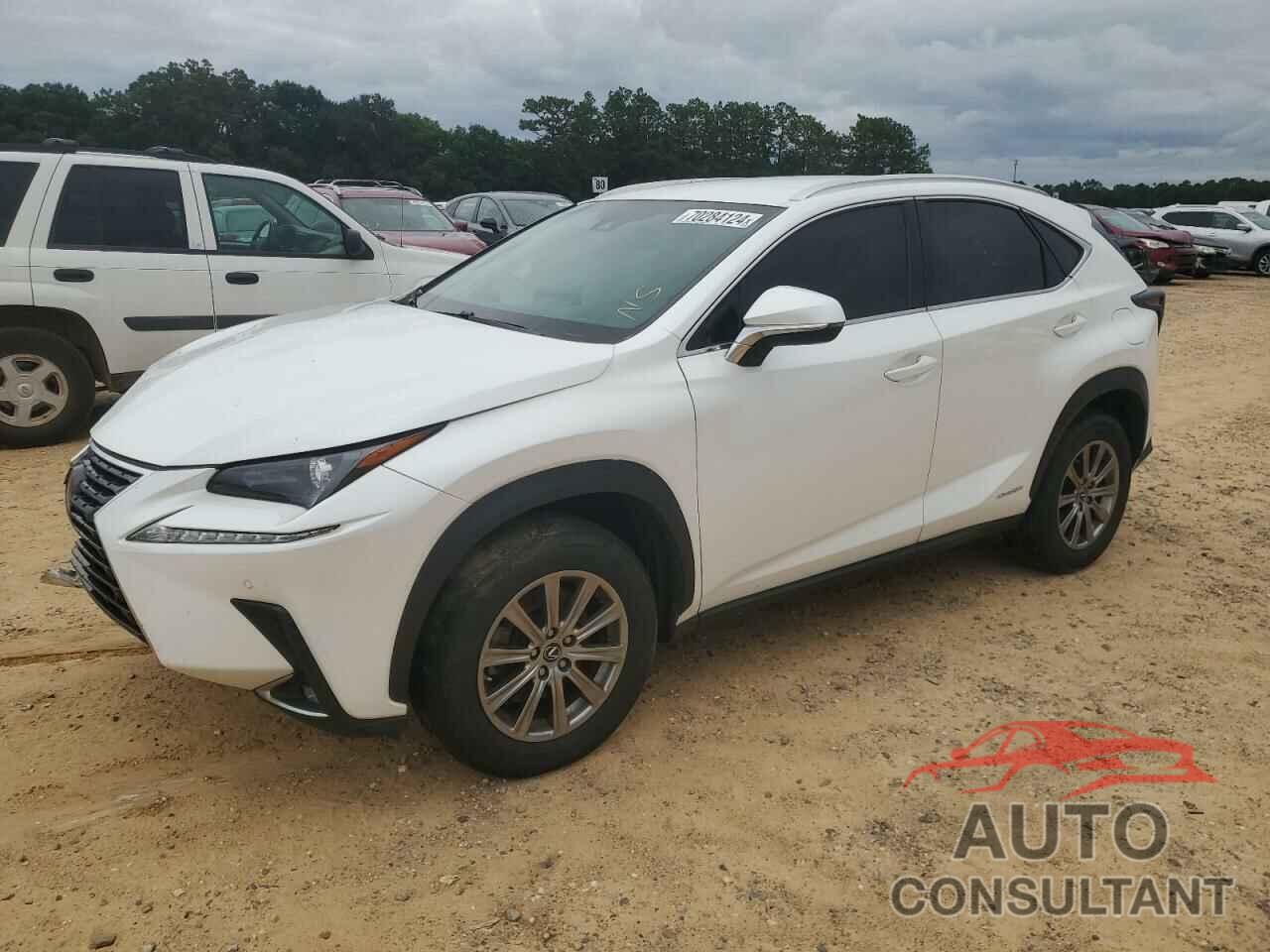 LEXUS NX 2019 - JTJBJRBZ1K2119668