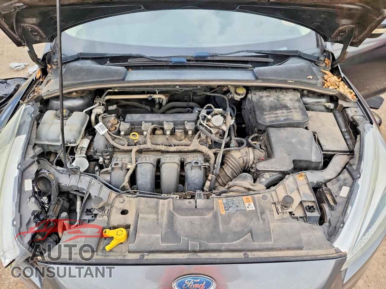 FORD FOCUS 2016 - 1FADP3F21GL361243