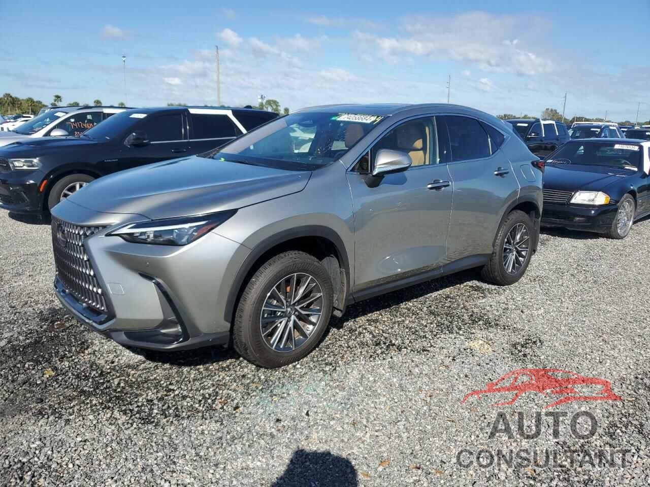 LEXUS NX 250 2022 - JTJGDCAZ9N5002290